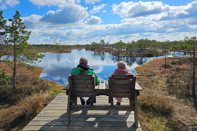 Great Ķemeri Bog and Swamp Forest Hiking Adventure - Price and value: what you actually get for around $156