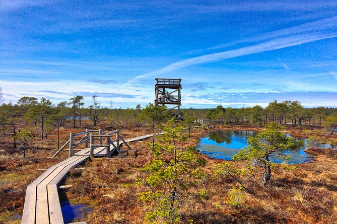 Great Ķemeri Bog and Swamp Forest Hiking Adventure - How hard is the walking, and who should book it