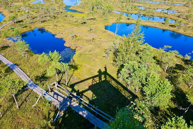 Great Ķemeri Bog and Swamp Forest Hiking Adventure - Rolands the guide, and what his eco-conservation style gets you