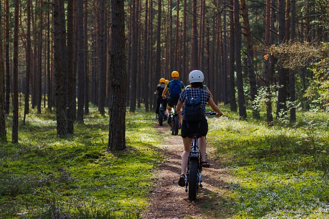 Guided Ebike Tour on Forest Roads and Trails Near Riga - Bumbu Hill Firewatch Tower, Panorama Plus Wartime Stories