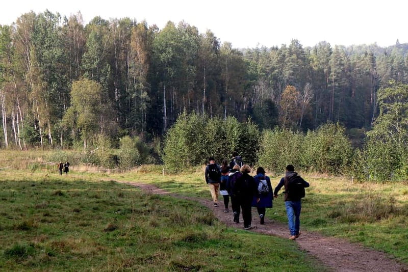 Hike In Gauja National Park - Sigulda - Key things to know before you go