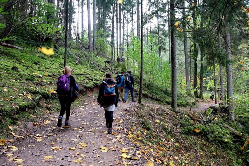 Hike In Gauja National Park - Sigulda - Sigulda Town and the ancient castle ruins