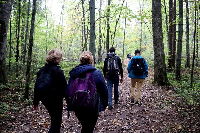 Hike In Gauja National Park - Up And Down The Switzerland Of Latvia - Price and Value: Why $138 Can Beat Renting a Car