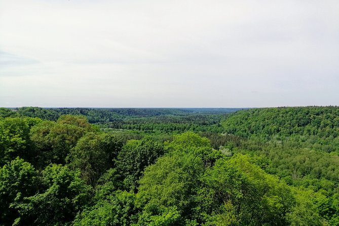 Hiking in Gauja National Park - Lunch on a picnic break: simple, flexible, and not included