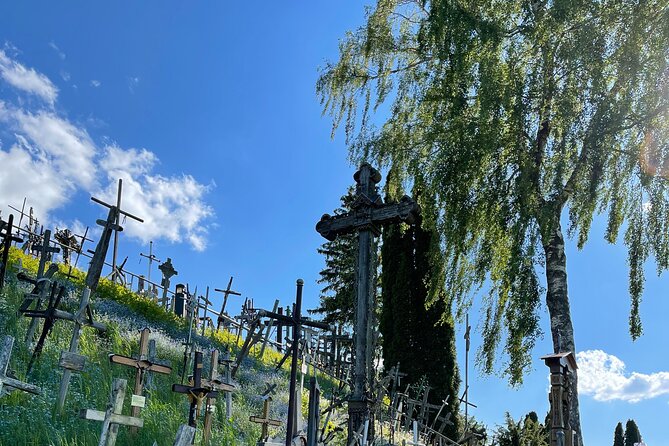 Hill of Crosses and Jelgava Gems Tour - 2 countries in 1 day - Kryziu Kalnas (Hill of Crosses): Your hour to walk, read, and choose a cross