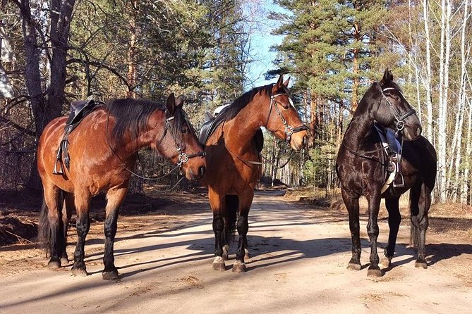 Horseback ride (1 hour) - Key things I’d clock before you go