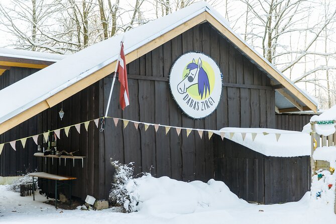 Horseback ride (1 hour) - Dabas Zirgi: 20 Minutes From Riga, But You’ll Feel Far From the City