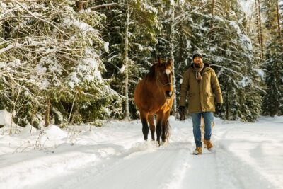 Horseback ride (1 hour)