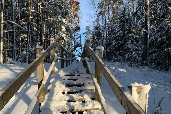 Husky dog sled/bike kart ride in Latvia ~ 3h group tour from Riga - Meet the huskies first, then get ready to ride