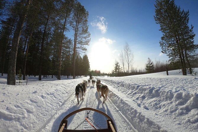 Husky Dog Sledding Experience - After the Ride: Back to St. Peter’s Church