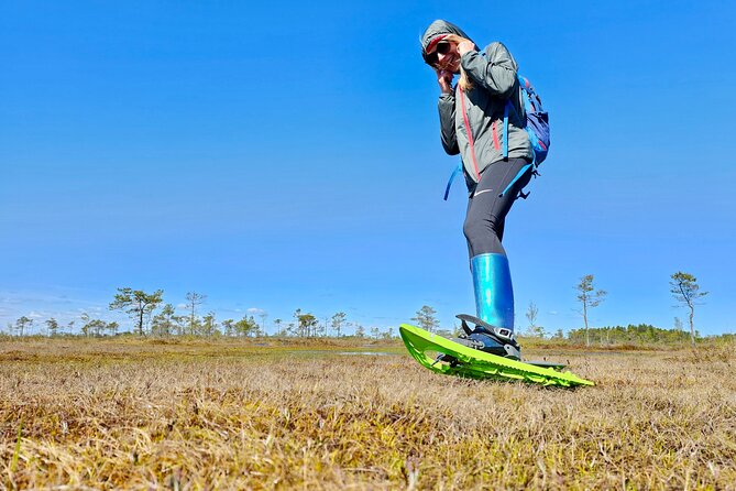 Ķemeri Bogs Adventure: Explore Wetlands In Bog Shoes - Key highlights before you go