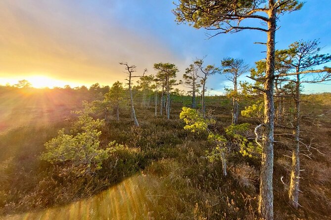 Ķemeri Bogs Adventure: Explore Wetlands In Bog Shoes - Who should book this bog shoes adventure