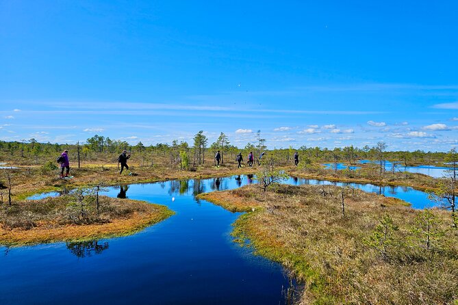 Ķemeri Bogs Adventure: Explore Wetlands In Bog Shoes - From Riga and Jūrmala: transfer time that actually matters