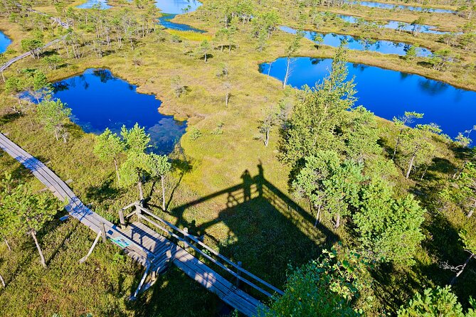 Ķemeri Great Bog Discovery With Optional Sunrise & Jūrmala Visit - Key highlights you should care about