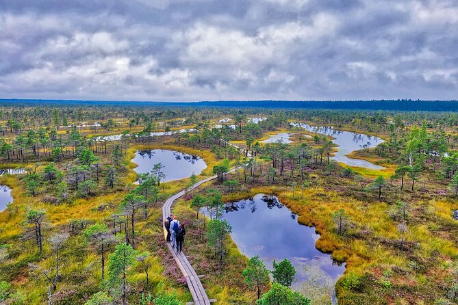 Ķemeri Great Bog Discovery With Optional Sunrise & Jūrmala Visit - Ķemeri Great Bog: the raised peat walk that feels otherworldly