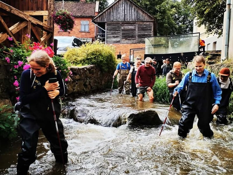 Kuldiga Town: River Hiking Expedition - From Riga to Kuldīga, with the day already in motion