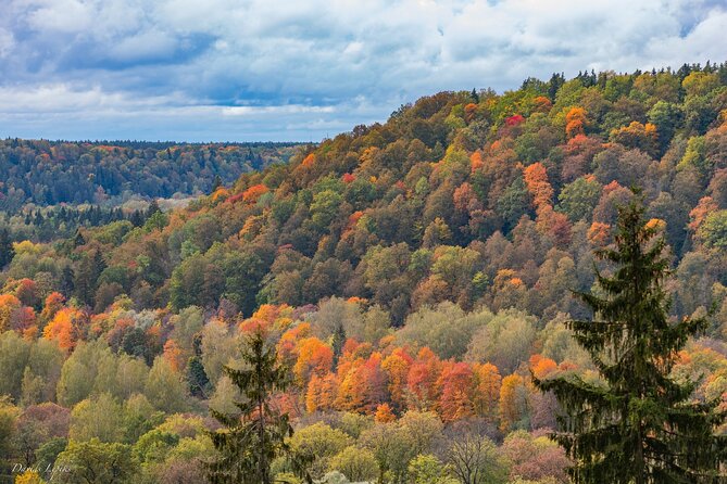 Latvia's Switzerland and Gauja National Park Tour - Key Highlights You Should Not Miss