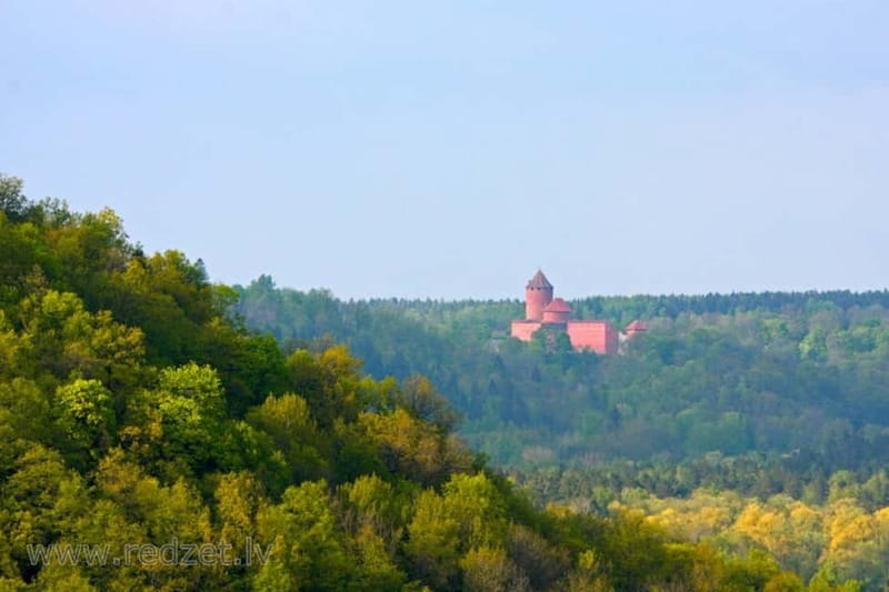 Private Day Trip to Cesis, Sigulda and Turaida Castles - Price and logistics: is $352 per group good value?