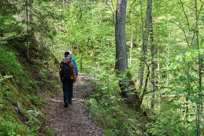 Private Full-Day Hiking Tour in Sigulda and Gauja National Park - Key Things You’ll Notice Right Away