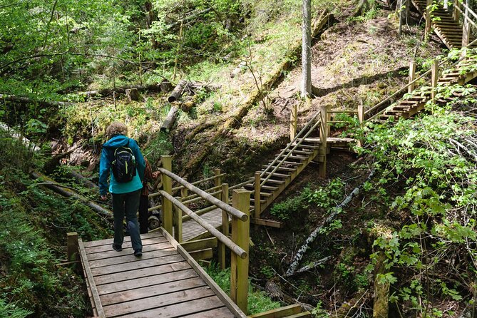 Private Full-Day Hiking Tour in Sigulda and Gauja National Park - The Real Star: Gauja National Park Walking, Birdsongs, and River Valley Views