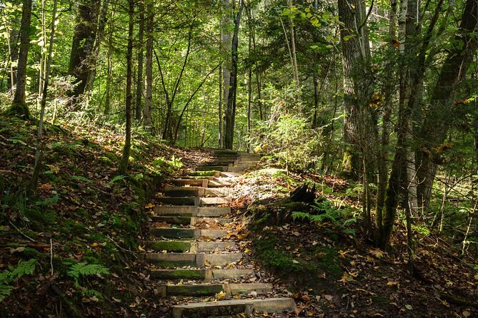 Private Full-Day Hiking Tour in Sigulda and Gauja National Park - English-Speaking Private Guide, and the Value of Someone Who Explains What You See