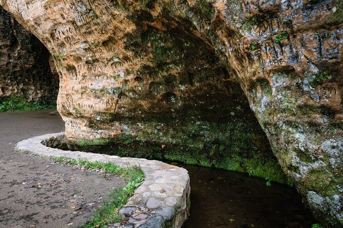 Private Full-Day Hiking Tour in Sigulda and Gauja National Park - Who This Tour Fits Best (And Who Might Prefer Something Else)