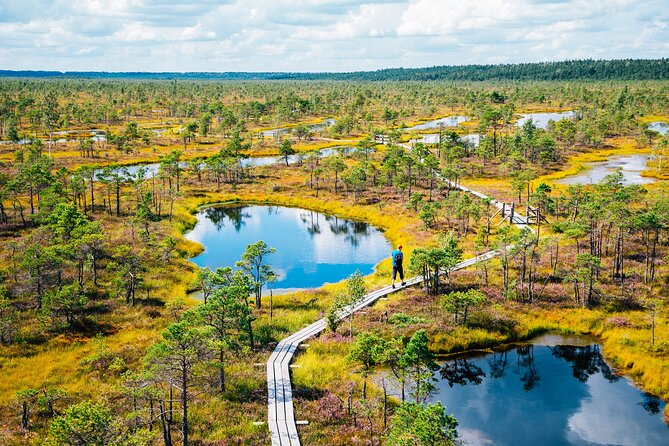 Private Full-Day Trip to Jurmala and Great Kemeri Bog Boardwalk - Jurmala stroll time: beaches, architecture, and breaks for real food
