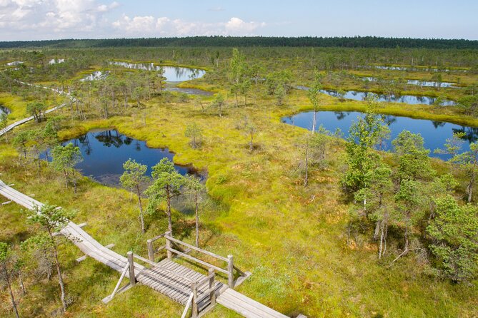 Private Full-Day Trip to Jurmala and Great Kemeri Bog Boardwalk - Price and value: what $355.21 really means