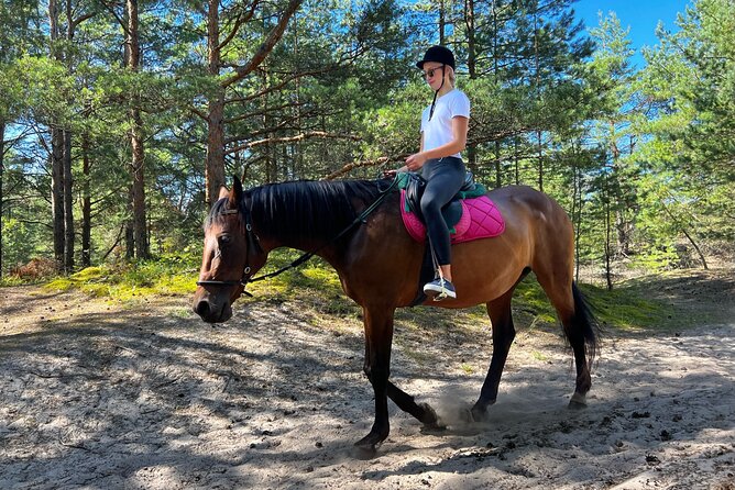 Private Horse Riding on the Beach in Riga - Price and value: where the $150.63 per person makes sense