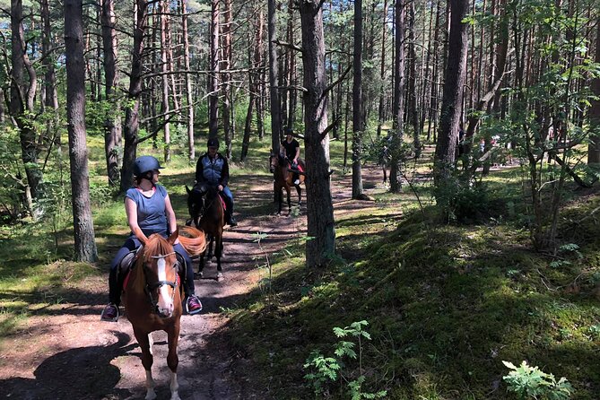 Private Horse Riding on the Beach in Riga - Weather matters on the Baltic, and so does how you plan