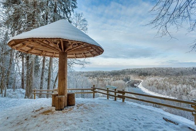 Private Sightseeing Tour in Sigulda - Timing, comfort, and how customization actually helps