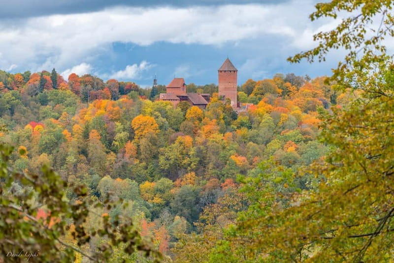 Riga: Private Sigulda, Turaida, and Gauja National Park Tour - Turaida Castle Museum and the Watchtower Over the Trees