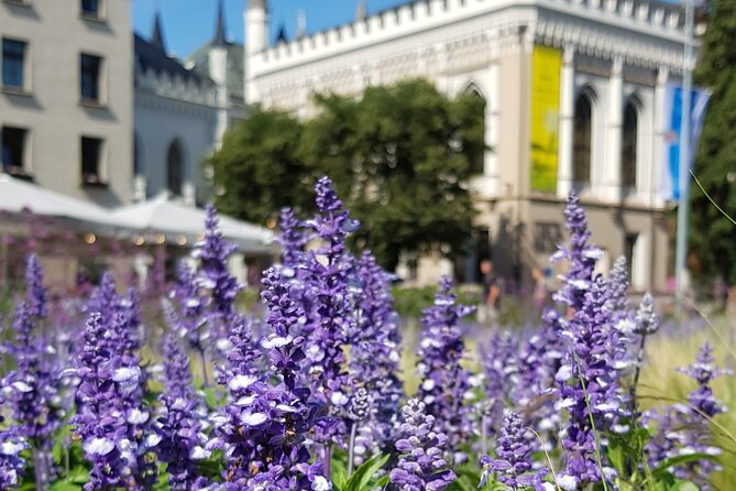 Riga Sightseeing Tour for First Time Visitors - Riga Central Market: The Food and Souvenir Stop That Saves You Effort