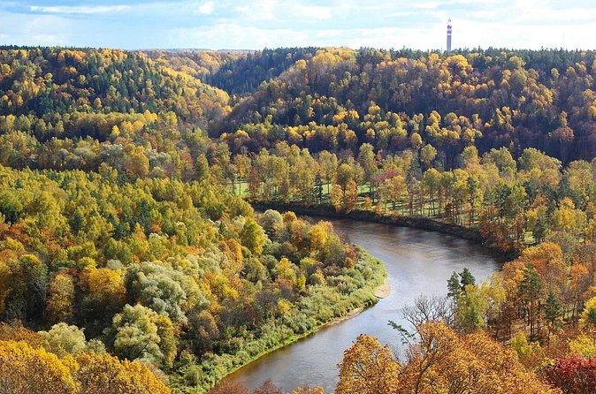 Riga to Tallinn Private Sightseeing Tour - Who this Riga to Tallinn tour suits best