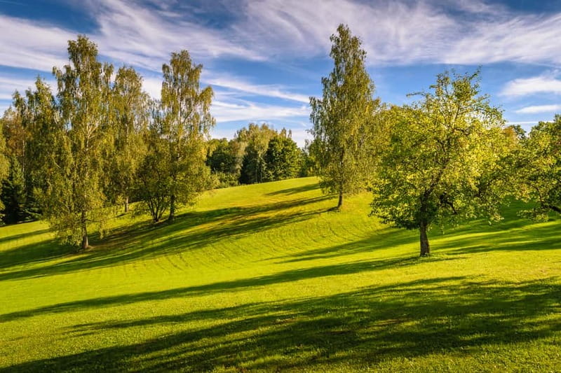 Sigulda Day Tour - Castle Ruins, Gūtmaņala Grotto, & More - When this tour makes sense for you