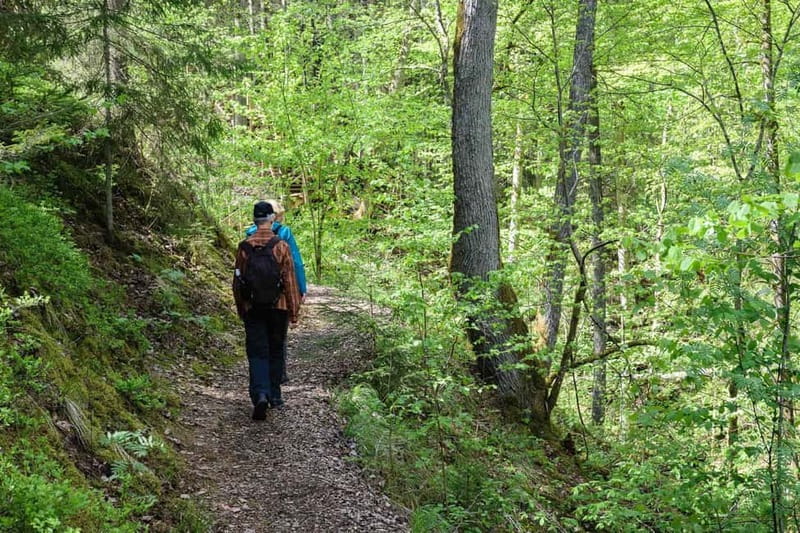 Sigulda Hiking Tour: A Day in the Switzerland of Latvia - Key highlights you should care about