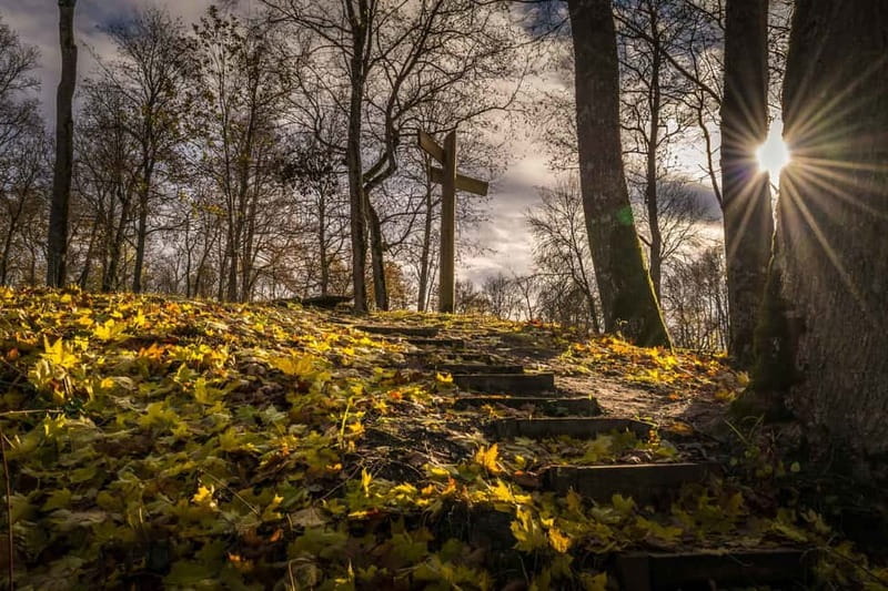 Sigulda Hiking Tour: A Day in the Switzerland of Latvia - Piķenes Cliff, Little Devil’s Cave, and Velnalas overlook: the view chain