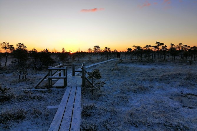 Sunrise at Kemeri National park + Jurmala - Key points to know before you go