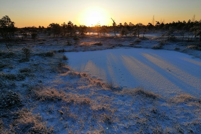 Sunrise at Kemeri National park + Jurmala - Guides, communication, and what makes this tour feel smooth