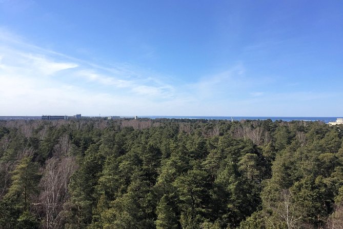 Sunrise at Kemeri National park + Jurmala - What to pack for Kemeri early mornings and a beach stop