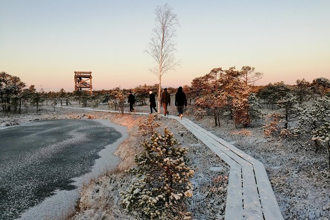 Sunrise at Kemeri National park + Jurmala - Kemeri National Park: choose the 1.4 km loop or the 3.4 km tower route