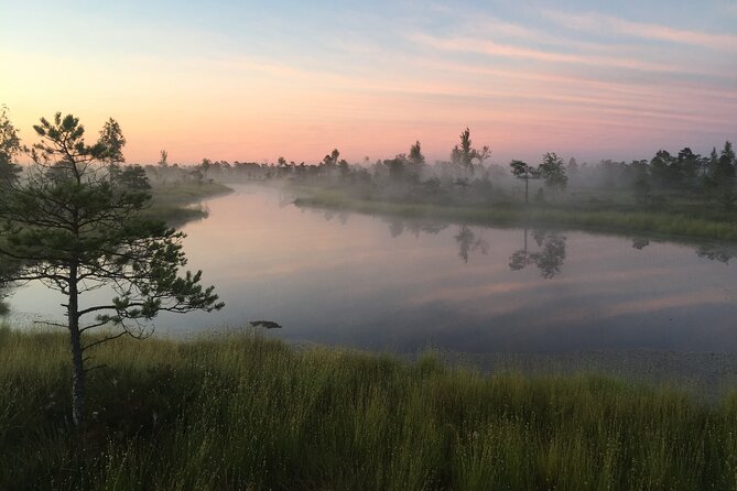 Sunrise at Kemeri National Park - Small Group - How the sunrise timing works (and why it matters)
