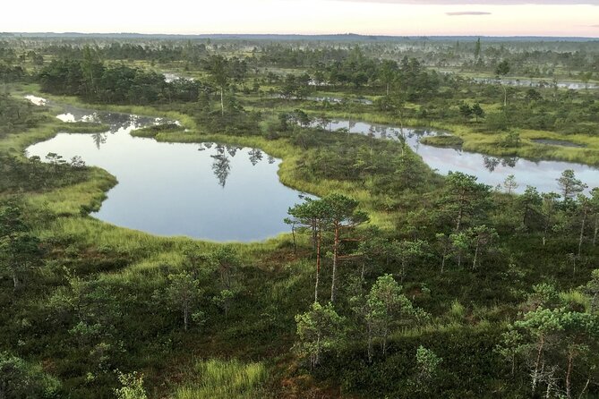Sunrise at Kemeri National Park - Small Group - Walking the Great Kemeri Bog Boardwalk at first light