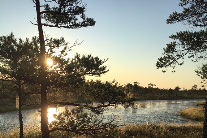 Sunrise at Kemeri National Park - Small Group - What’s included in the price, and what you pay extra for