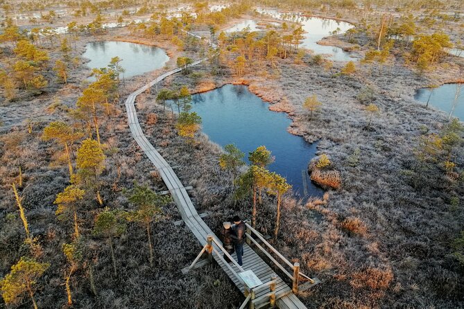 Sunrise at Kemeri National Park - Small Group - Weather reality: what can change your morning