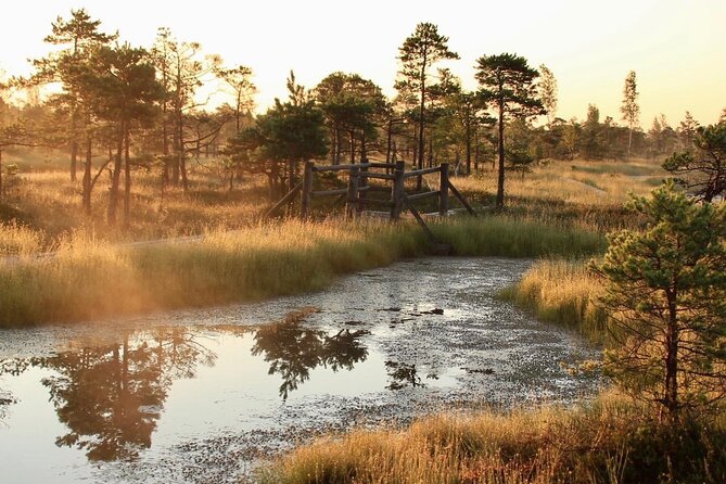 Sunrise at Kemeri National Park - Small Group - Riga pickup and the small-group setup (up to 8)