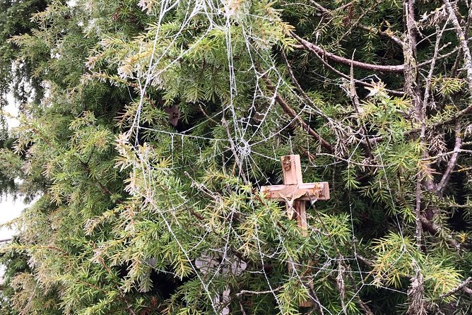 Sunrise at the Hill of Crosses - 2 countries in 1 day - Getting There Comfortably: Private Transport and Early Morning Realities