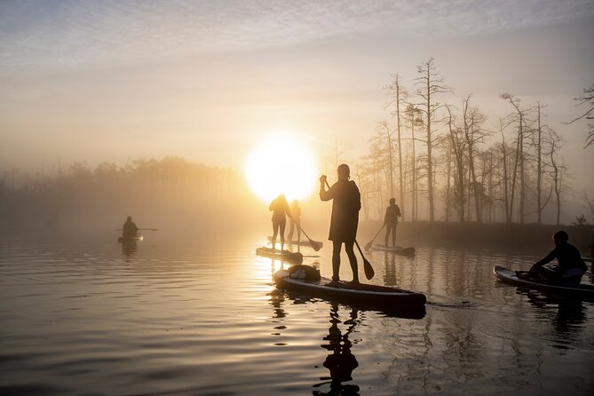 Sunrise or sunset SUP/kayak Adventure in the bog from Riga - Kemeri National Park Foundation: why the bog feels different at dawn