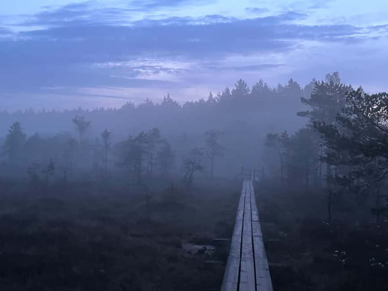 Sunrise Tour To Great Kemeri Bog - Key things to know before you go