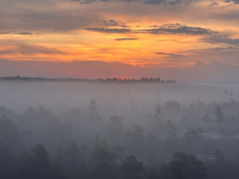 Sunrise Tour To Great Kemeri Bog - How the 2.5-hours-before-sunrise timing really changes the trip